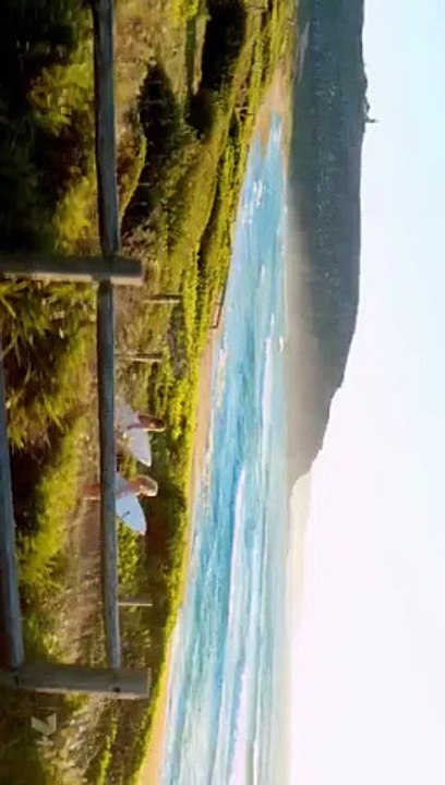 Home And Away 8209