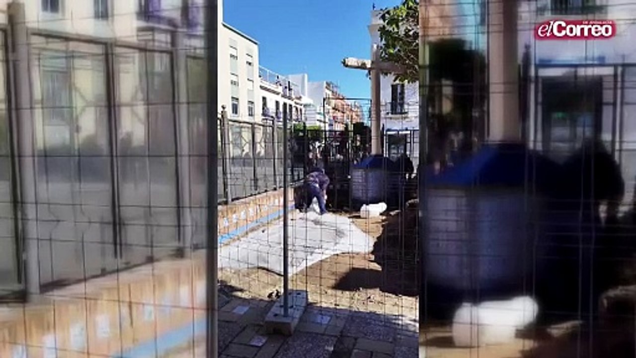 ficus de San Jacinto: comienzan las obras para ampliar el alcorque