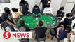 Johor cops nab 181 in gambling crackdown