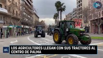 Los agricultores llegan con sus tractores al centro de Palma