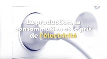  Électricité : quelle production,  quelle consommation et quel prix aux horizons 2035 et 2050 ?