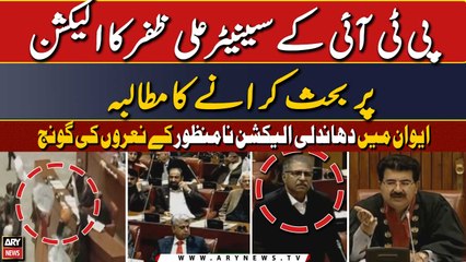 PTI Senator Ali Zafar demands discussion of Election 2024 in senate