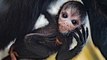 Chester Zoo Welcomes the Birth of Rare Spider Monkey Baby