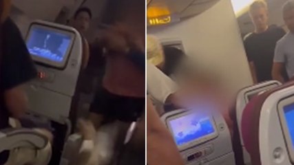 Shirtless British man punches stewardess after ‘smashing up’ toilets during flight