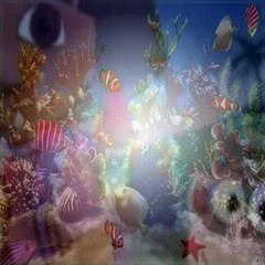 Dora The Explorer S03E06 Journey To The Purple Planet