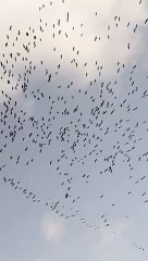 बदलते मौसम ने बढ़ाई किसानों की चिन्ता