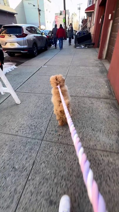 Spreading Joy One Hop at a Time