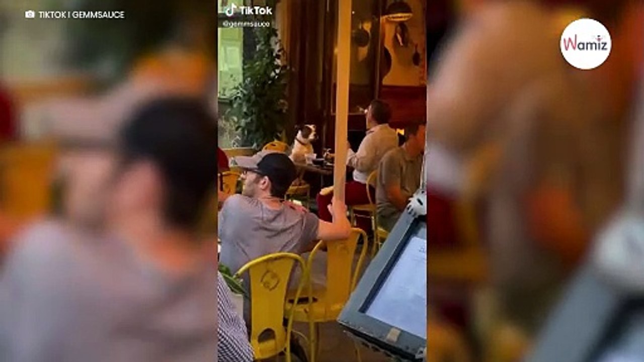 Mann isst im Restaurant: Gäste völlig überrascht darüber, wer sein Date ist