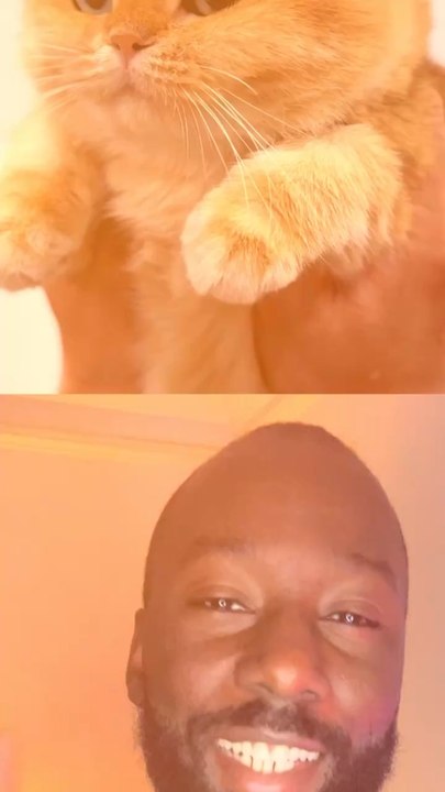 Abonne-toi pour suivre l’actualité positive chaque semaine !     @  Source 1 : Le Monde I source 2 : Sud Ouest  I source 3 : Le Huffpost  I source 4 : Le Point  I source 5 : Lyon Capital