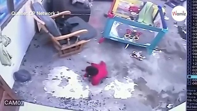 Baby krabbelt zur Treppe: Als die Katze losrennt, halten alle den Atem an!