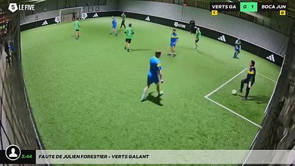 Faute de Julien Forestier - VERTS GALANT