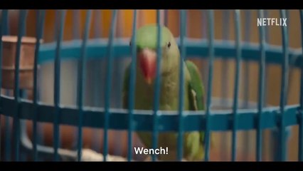 Maamla legal hai new movie/ new Hindi movie 3024/ Bollywood new movie 2024 sa joke