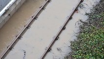 FLOODED TRAIN STATION IN WELLINGTON.