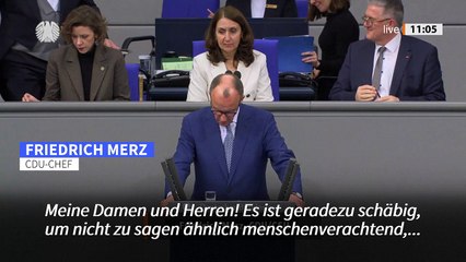 Merz: Chrupalla ist "nützlicher Idiot" Putins