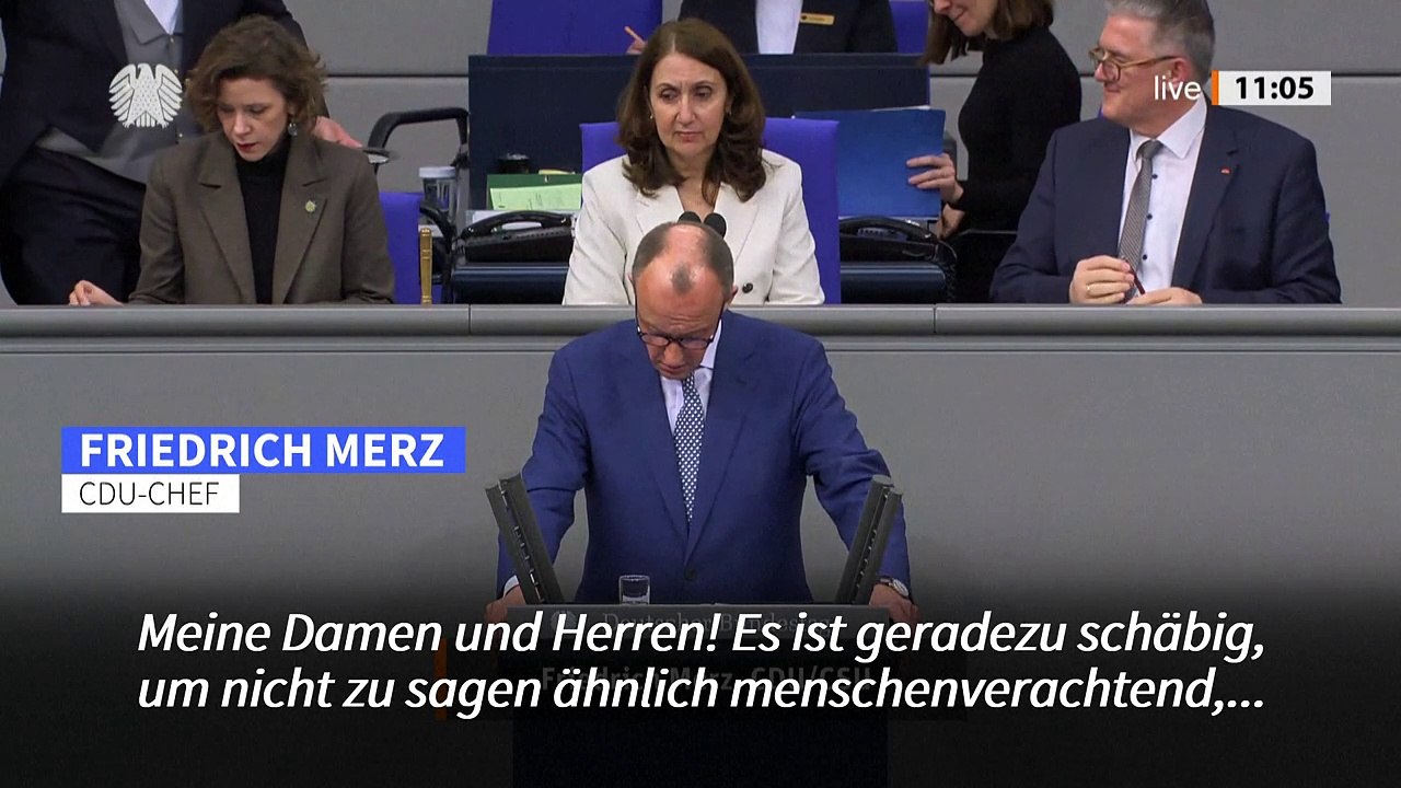 Merz: chrupalla ist "nützlicher idiot" putins