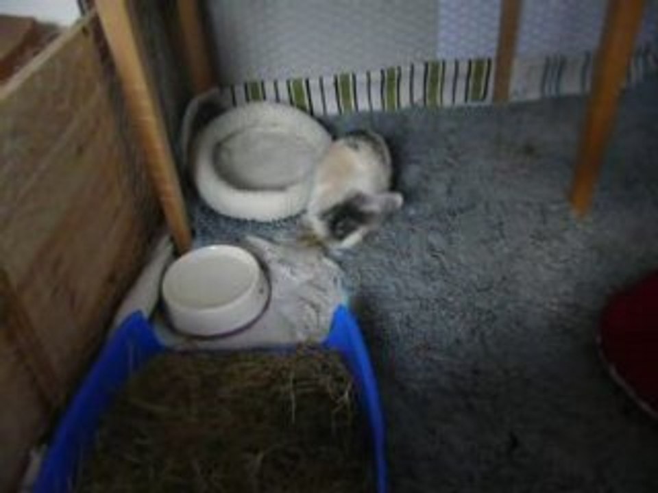 Katy ist langweilig - Teil 2