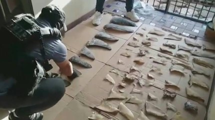 Hijo de exlíder del Cartel de Cali involucrado en tráfico ilegal de aletas de tiburón 🦈