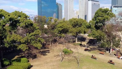 Osaka Castle Japan in 4K