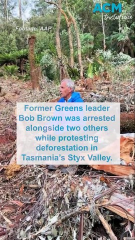 Former Greens leader Bob Brown was arrested on Monday, February 19, 2024, alongside two others while protesting deforestation in Tasmania’s Styx Valley. Video via AAP.