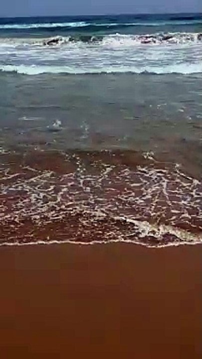 Petite vidéo pour vous relaxé #plage #shorts #maroc #vacances  #relaxation