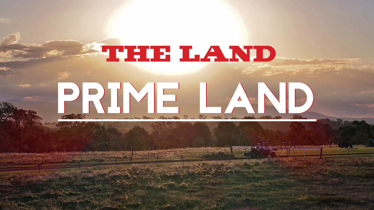 PRIME LAND: Episode 1
