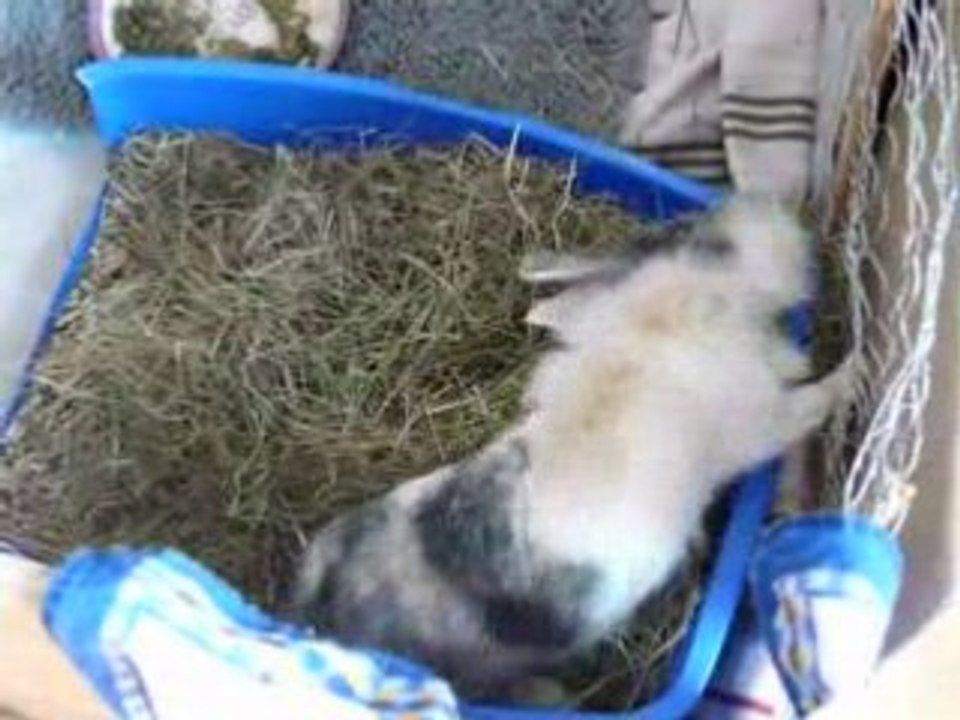 Immer noch langweilig