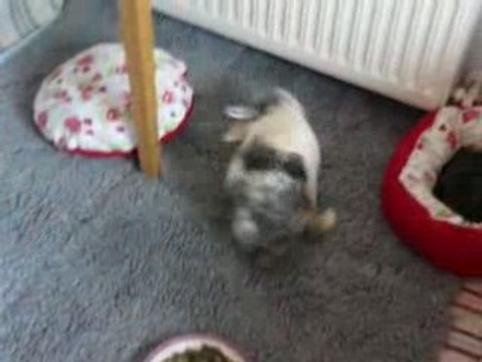 Immer noch langweilig - Teil 2