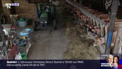 Certains agriculteurs abandonnent la filière biologique à cause des coûts élevés et des contraintes administratives