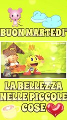 Buongiorno e buon Martedì ☕ Good morning ☀️