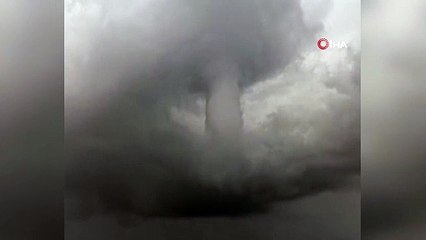 Zeytin ağaçlarını yerinden söken devasa hortum cep telefonuyla görüntülendi