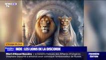 En Inde, les communautés hindoue et musulmane se déchirent encore plus à cause du prénom de deux lions