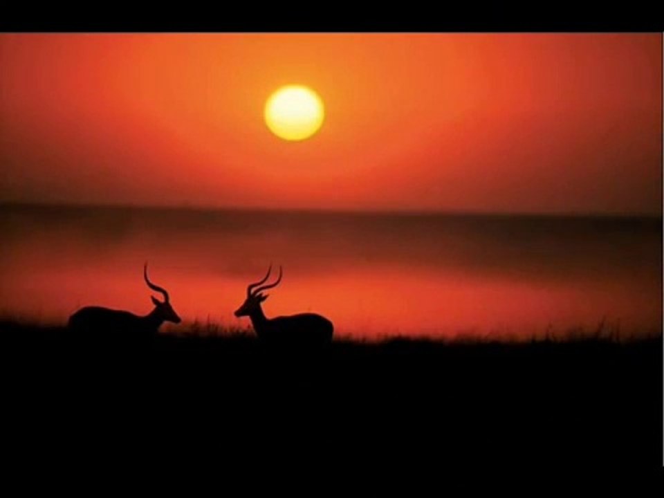 Cover Version II Kabhi Kabhie Mere Dil Mein by Ila Rawat II