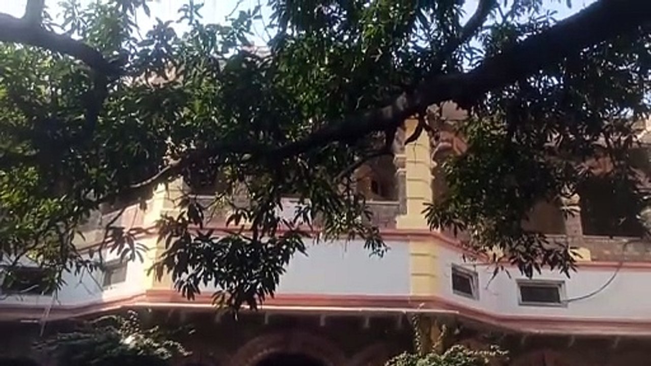 बायो गैस प्लांट का उत्पादन घटा, अनियमितता के मामले में संयुक्त शासन ने की जांच तलब