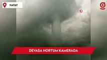 Zeytin ağaçlarını yerinden söken devasa hortum cep telefonuyla görüntülendi