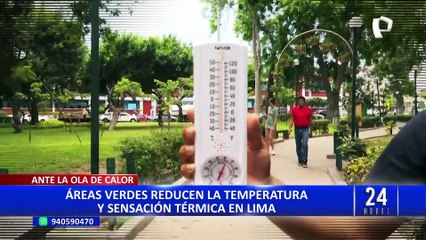 Ola de calor Lima: árboles ayudan a reducir la sensación térmica