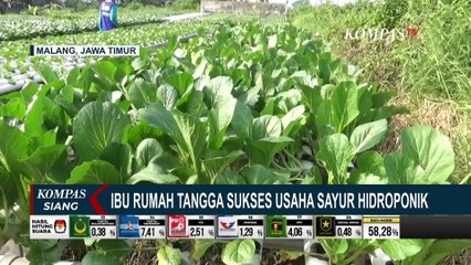 Download Video: Ibu Rumah Tangga di Malang Sukses Meraup Laba dari Usaha Sayur Hidroponik