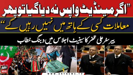PTI leader Barrister Ali Zafar ka senate mein dabang khitab