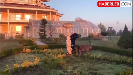 Türk Escobar lakaplı Ürfi Çetinkaya'nın suç örgütüne operasyon! 42 şüpheli gözaltına alındı