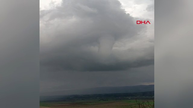 Hatay'da hortum ağaçları kökünden söktü