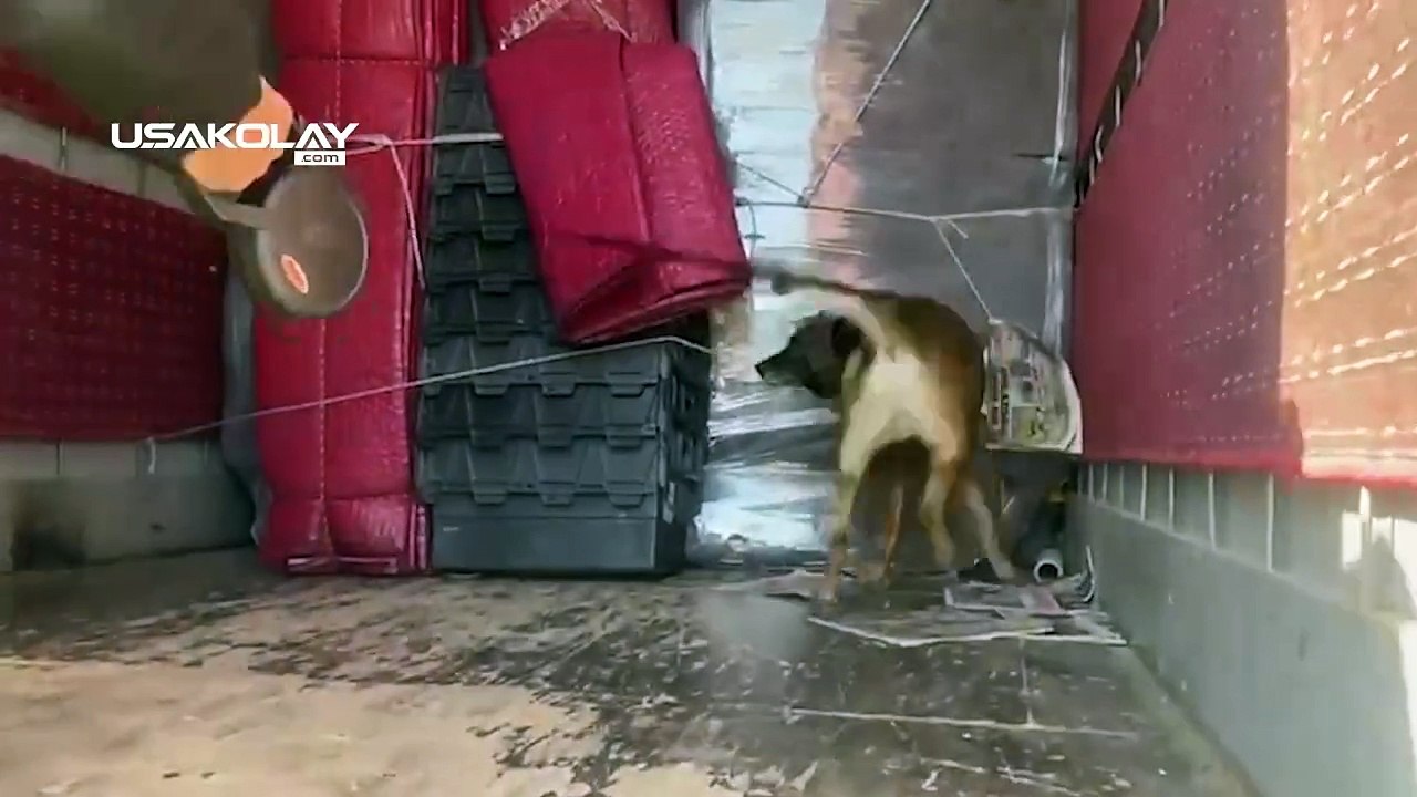 Uşak Emniyeti 4 Milyon 500 Bin TL’lik Kaçak Sigara Yakaladı