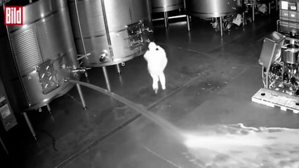 Şarap imalathanesine saldırı: 60 bin litre şarap döküldü