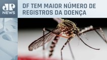 Brasil tem mais de 650 mil casos de dengue em 2024