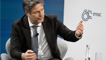 ZDF-Moderatorin kritisiert Wirtschaftspolitik: Protest von Grünen-Politikern