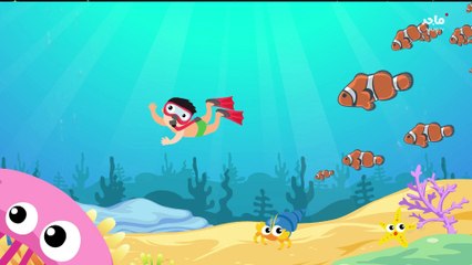 Majid tv - (ما سبب ملوحة ماء البحر) - Explanation Episode 2023