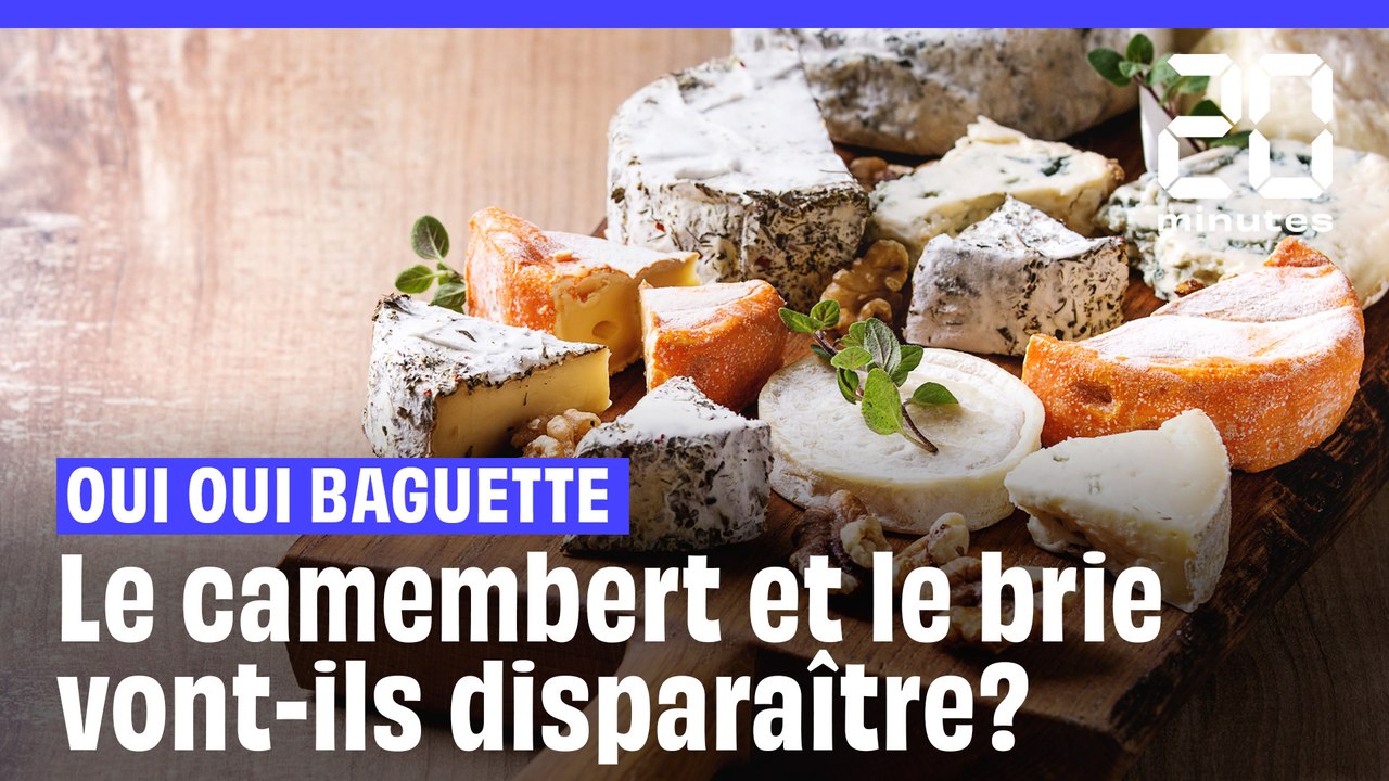Le camembert et le brie vont-ils disparaître?