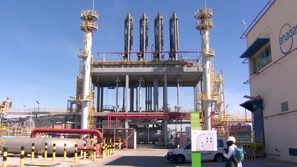 Enagás recorta un 8,8% sus ganancias en 2023, pero pulverizó sus objetivos del año