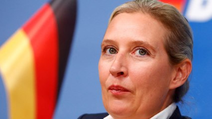AfD verliert in Umfragen an Boden: Beliebtheitswerte sinken
