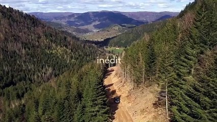 Des racines et des ailes - 21 février