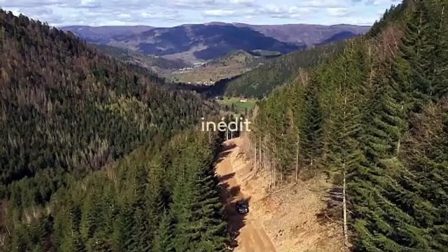 Des racines et des ailes - 21 février