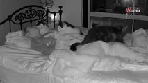 Woman falls into deep sleep; what her six cats do next is just remarkable (video)